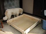 犬小屋