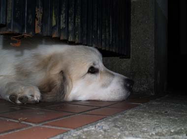 あーあ・・おれも入れてくれ〜