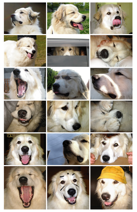 2007年上半期BEST