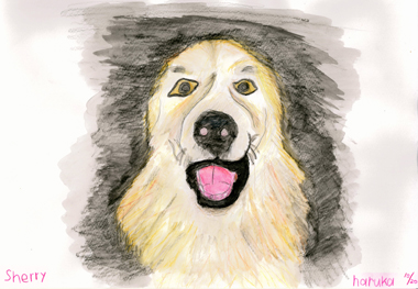 色鉛筆で書いた水彩画