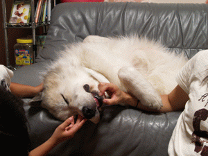 遊ばれてる?これって意地悪?