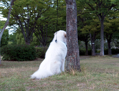 誰かいないかなぁ