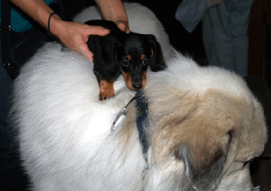 ちょっと強引だったけど