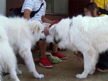 みるくさん(左)とセーラさん(右)