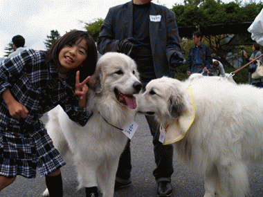 第10回ワンハイ