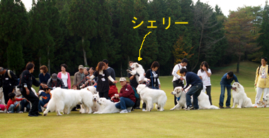 集合写真の一部