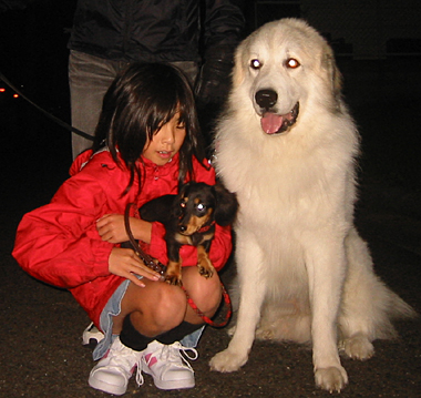 ホタルと散歩・・でも寒い