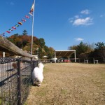 一人は寂しいぞ~